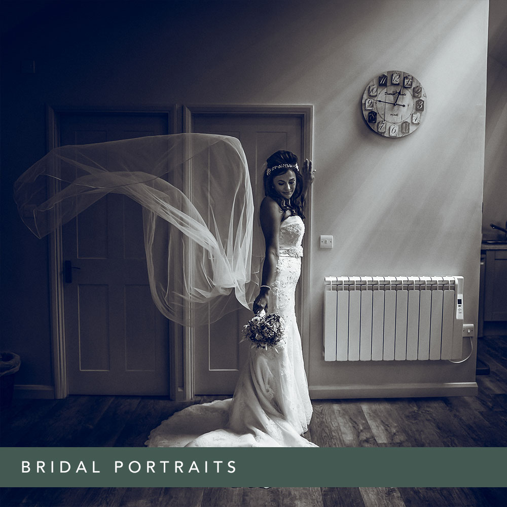 Bridal wedding portraits